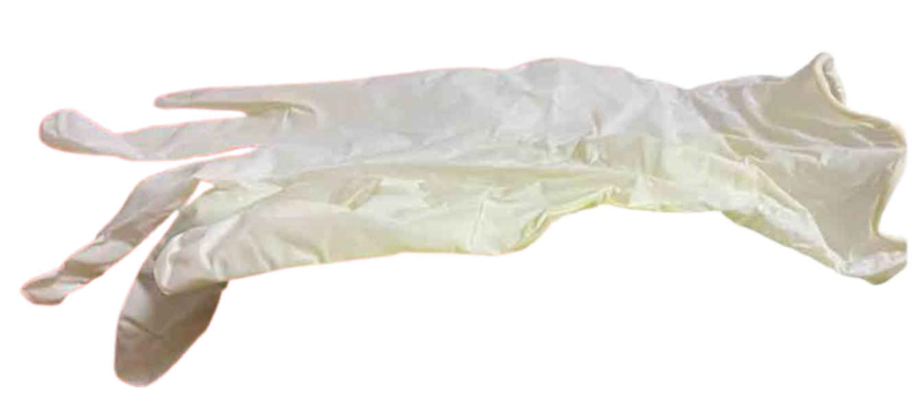 Latex Gloves ( Large ) Powder Free Non-Sterile (Yellow Box) / 100pcs/box (Glomed) thumb
