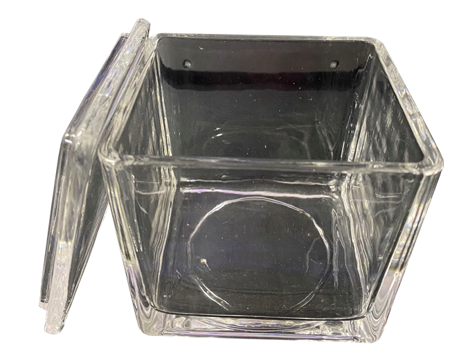 Coplin Microscope Slide Staining 30 placer Square Jar Glass with Cover Laboratory 1 pc (WINGUARD)