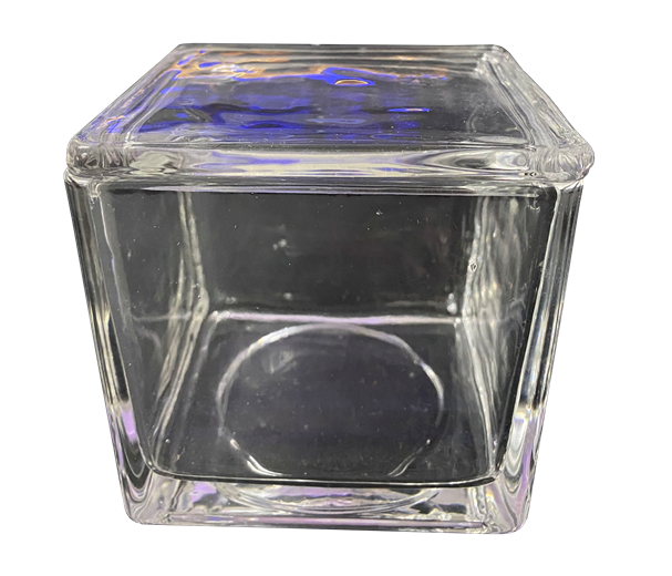 Coplin Microscope Slide Staining 30 placer Square Jar Glass with Cover Laboratory 1 pc (WINGUARD) thumb
