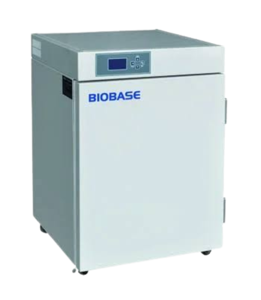 Incubator Constant-temperature (BJPX-H50II)