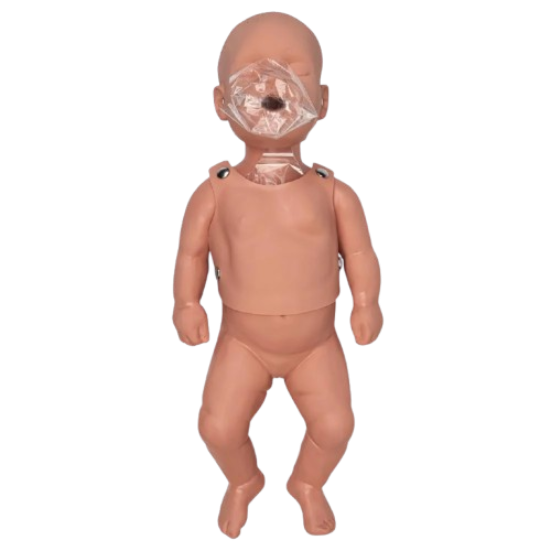 Manikin CPR Baby