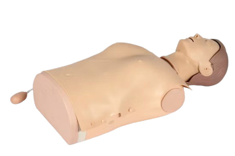 Manikin CPR half body
