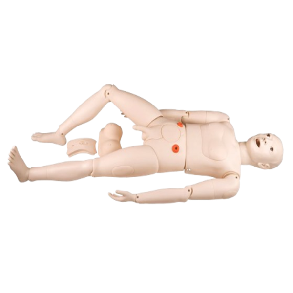 Manikin Multifunctional Nursing