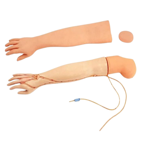 Model Human Puncture
