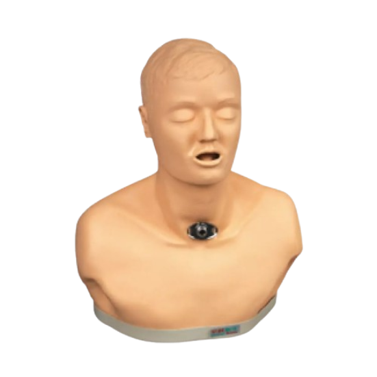 Model Human Tracheotomy